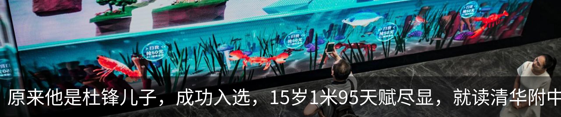 新闻动态