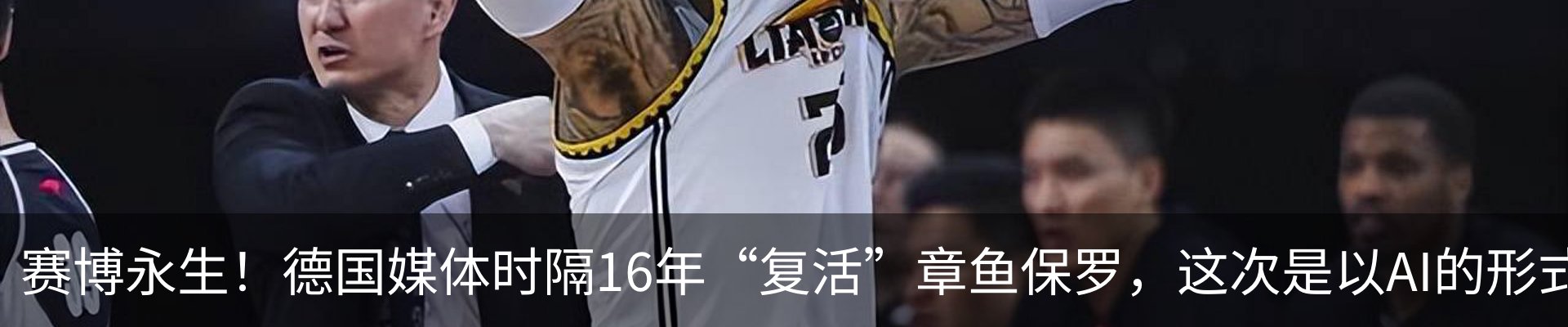 新闻动态